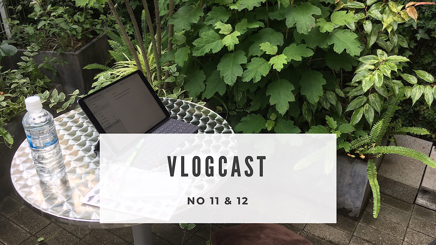 Vlogcast No. 11 und 12