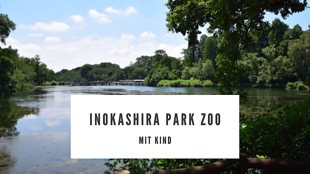Inokashira Park Zoo in Kichijōji