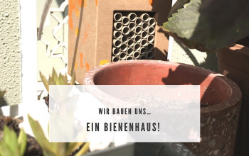 Wir bauen uns ein Bienenhaus!