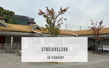 Streichelzoo in Itabashi