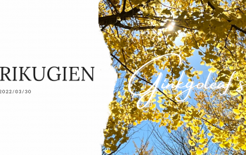 Neues Video: Im Rikugien